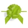 Geschenkschleife Ziehschleife Granfiocco Paper Hellgrün VE 50 Stück