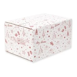 Weihnachtskartons Versandkartons Weihnachten 6er DHL/PTZ 10 Stück