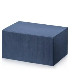 Weinverpackung Weinpräsentkarton Modern Welle Blau 6er VE 10 Stück