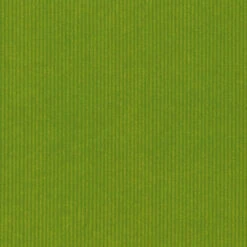 Geschenkpapier Secare Rolle Hellgrün Kraftpapier Gerippt 50 Cm X 200 M