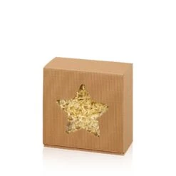 Präsentbox Welle Natur Allround -S- Folienfenster Stern VE 25 Stück